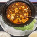 松の樹 - 