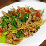 ピラブカウ - ペットヤーンパッキーマオ