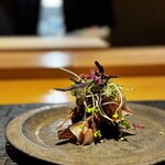 参代 きく水 - 