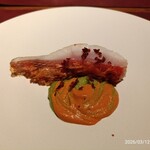 Potoro - 