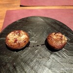 Potoro - 