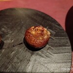 Potoro - 