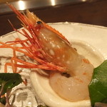 銀座 吉本 - 北海道のぼたんえび