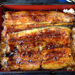 Unagi Kinsui - 