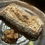小田原産 朝どれ地魚地酒 湘南大衆横丁 - 