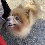 通圓 - 