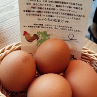 赤坂うまや 新宿 - うちのたまご