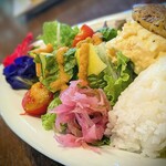 楽園の果実 - 付け合せのサラダもさすが♪
新鮮な野菜に自家製ドレッシング、卵サラダに、ピンク！のマカロニサラダも。