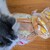 アサカベーカリー - 料理写真:テーブルに広げた途端、猫まっしぐら(ΦωΦ)♪
