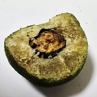 金谷正廣_1