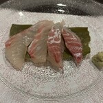 舟由 - 