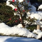 京料理　宮前 - 雪化粧の庭でございます。