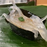 寿司処 やまざき - 白魚