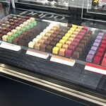 bubó BARCELONA - 