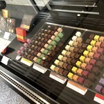 bubó BARCELONA - 