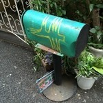 ラテンクラブ レオン - 