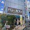 モンステラ - 