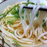 駅一食堂 とくやま - 麺持ち上げ