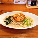 うどんうさぎ - 料理写真:小海老と彩り野菜のかきあげぶっかけうどん。