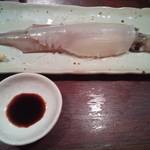 九州の地魚料理 侍 - やりいか造り