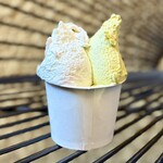 ジェラテリア テオブロマ - ダブル（フレーズオレ／ピスターシュ）