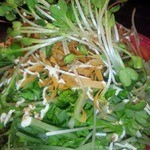 とりの館 - サラダ