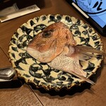 浜焼き居酒屋 バルバルATAMI - 