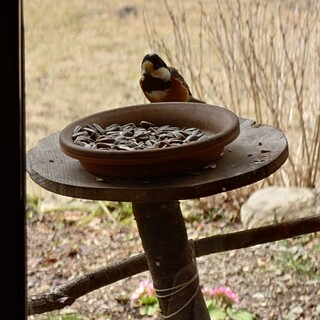 くつきそば 永昌庵 - 料理写真: