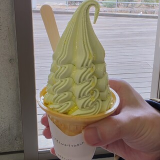 道の駅 小豆島オリーブ公園_0