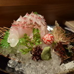 かくれんぼ - 天然鯛の刺身