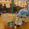 スターバックス・コーヒー - 