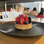 bubó BARCELONA - 
