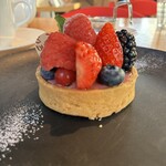 bubó BARCELONA - 
