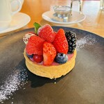 bubó BARCELONA - 