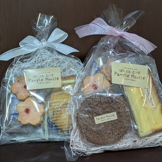 ぱんぷるむうす_0