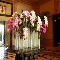 mal D'amour - 