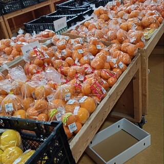 めっけもん広場_0