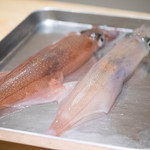 鮨 近藤 - ヤリイカ