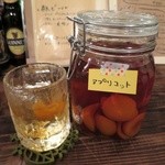 灯 - アプリコットのブランデースプリッツァー