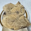 鎌倉 浪花家 - 