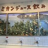 シン・エヒメ - 