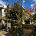 chez petit chat noir - 