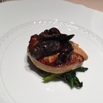 フォリオリーナ・デッラ・ポルタ・フォルトゥーナ - 2014年11月