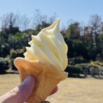 道の駅 桜島 火の島 めぐみ館 - 桜島小みかんソフト
