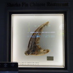 筑紫樓 - 入口に飾ってあるふかひれ