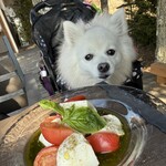 アトリエ・ド・フロマージュ - 料理写真: