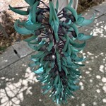 ユートピアファーム宮古島 - 