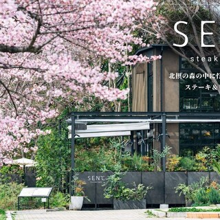 ステーキ&ビストロ 千里中央 SEN℃_0