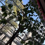 カフェ パンセ - 内観