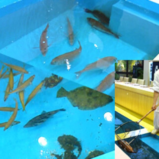 生簀から　旬の
活蟹、魚介類をお取りします。